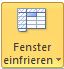 Fenster_einfrieren